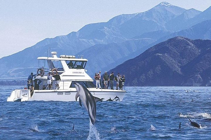 Kaikoura Swim with Dolphins Tour from Christchurch - Photo 1 of 6